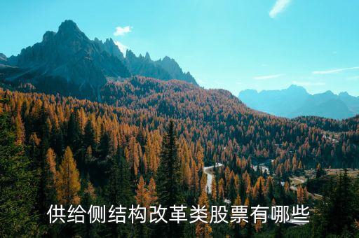 供給側(cè)最利好什么股票，供給側(cè)改革概念股有哪些