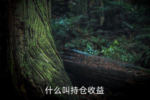 理財(cái)里的持倉(cāng)收益是什么意思，基金 持倉(cāng)收益7579 是什么意思啊 本人是新手