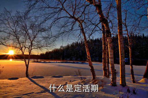 定期活期是什么意思，什么是定活期