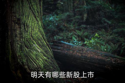 明天什么股票上市，明天有哪些新股上市