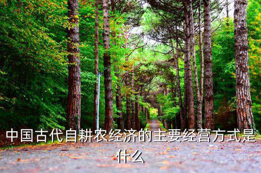傳統(tǒng)農(nóng)業(yè)的經(jīng)營(yíng)主體是什么，中國(guó)古代自耕農(nóng)經(jīng)濟(jì)的主要經(jīng)營(yíng)方式是什么