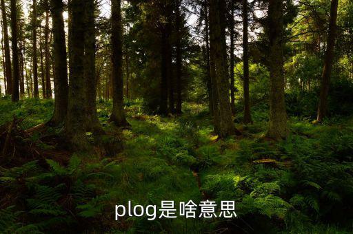 airbnb是什么意思，booking是什么意思