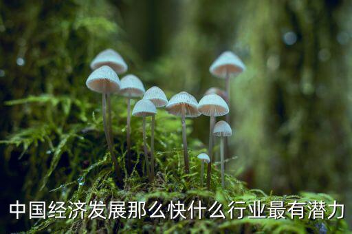 未來中國經(jīng)濟(jì)什么行業(yè)可以，中國經(jīng)濟(jì)發(fā)展那么快什么行業(yè)最有潛力