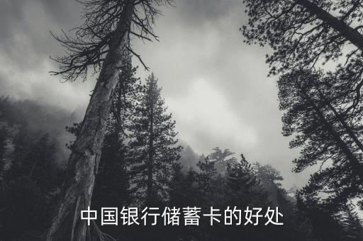 中國銀行存蓄卡有什么好處，中國銀行儲蓄卡的好處