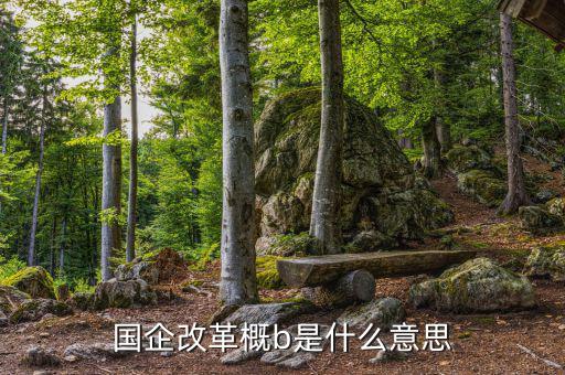 國企改b是什么，國企改革概b是什么意思
