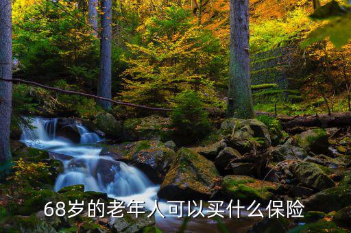 68歲的老年人可以買(mǎi)什么保險(xiǎn)