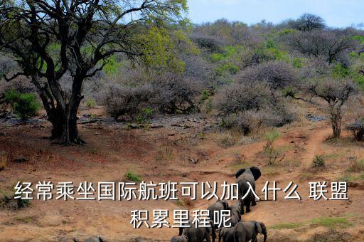星空聯(lián)盟積分怎么算,南航、東航可通過(guò)明珠卡共享積分等