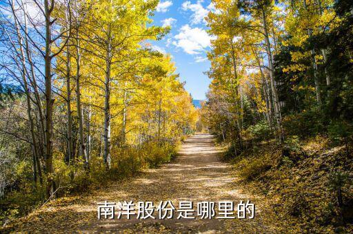 南洋股份是什么公司，sunedison是什么公司