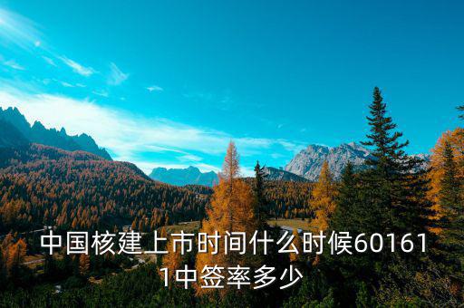 中國核建上市時間什么時候601611中簽率多少