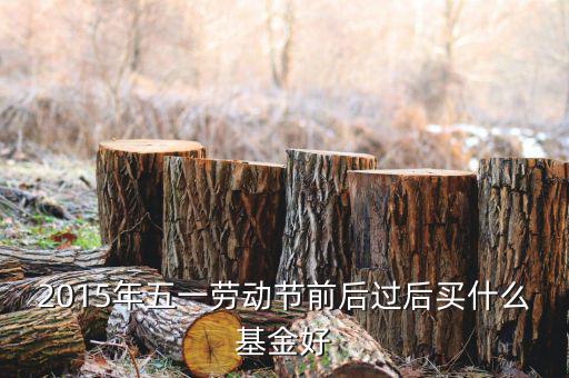 2015年五一勞動節(jié)前后過后買什么基金好
