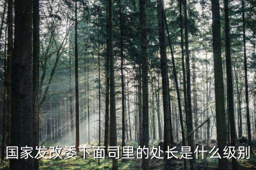 央企處長是什么級別，央企比如移動(dòng) 電信 聯(lián)通 中石油石化 這些企業(yè)縣的老總是什么級別