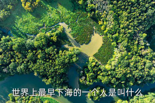 王木清什么時(shí)候下海的，我國英雄 下海 的故事