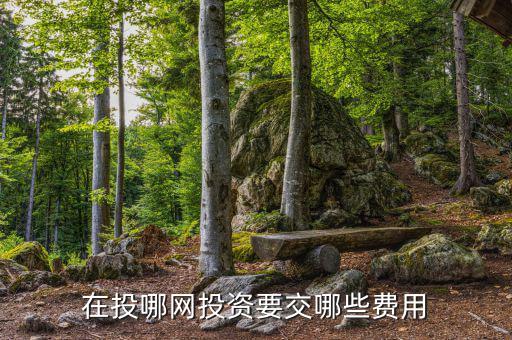 投哪網(wǎng)管理費(fèi)什么時候收取，投哪網(wǎng)收手續(xù)費(fèi)嗎