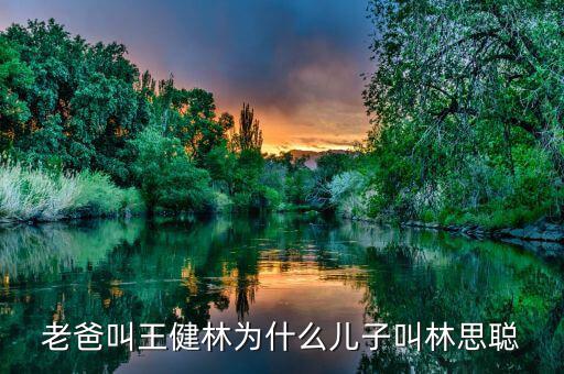 王健林和王思聰是什么關(guān)系，老爸叫王健林為什么兒子叫林思聰