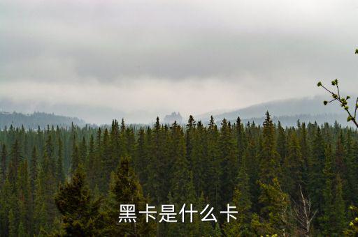 銀行卡黑卡是什么級(jí)別，黑卡是什么卡