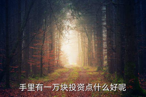 一萬(wàn)元做什么投資，1萬(wàn)元?jiǎng)?chuàng)業(yè)投資干什么好