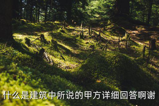 為什么說mint是甲方，MINTS DOUBLEMINT是什么意思