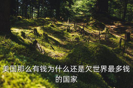 為什么美國(guó)欠中國(guó)錢，世界第一經(jīng)濟(jì)體美國(guó) 為什么還要向中國(guó)借錢