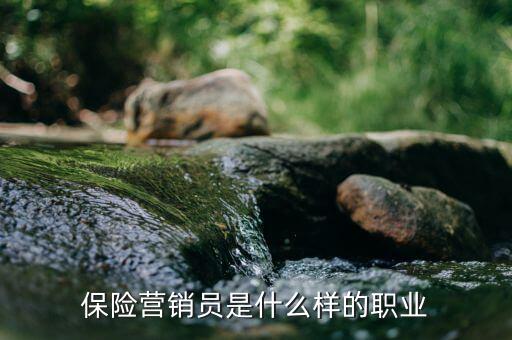 保險承銷員是什么，保險營銷員是干什么的