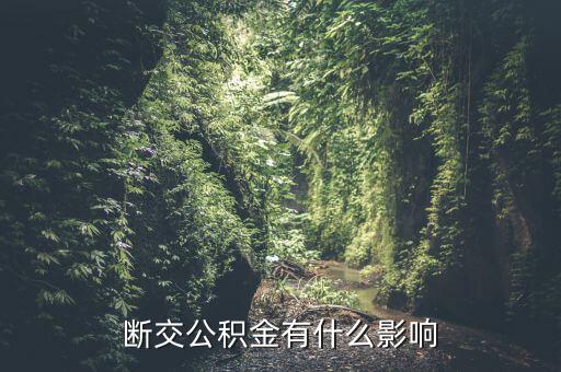 公積金斷了有什么影響，停繳公積金有什么影響