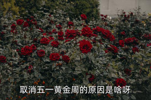 五一黃金周為什么取消，為什么取消五一黃金周