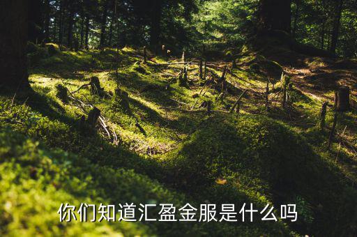 存匯盈是什么，存兌匯票是什么東東具體含義一定要說(shuō)的詳細(xì)點(diǎn)啊