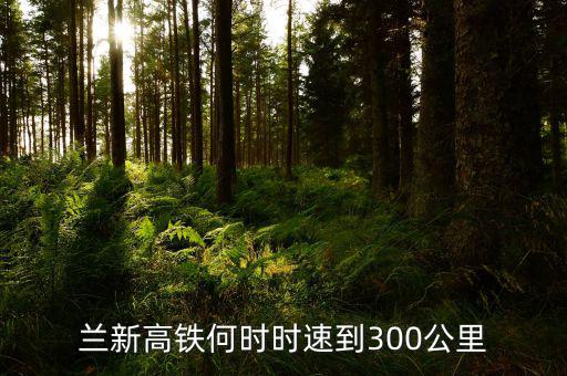 蘭新高鐵什么時候提速，蘭新高鐵2015年3月20日后會再提速嗎