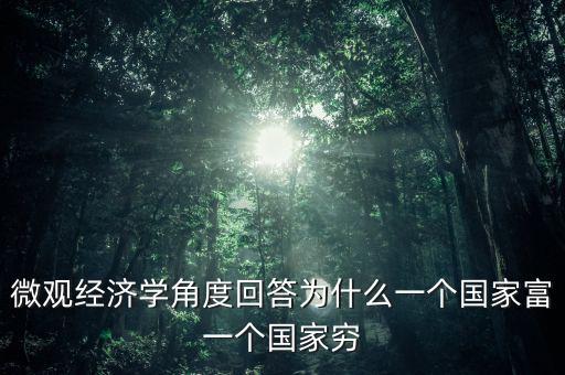 微觀經(jīng)濟(jì)學(xué)角度回答為什么一個國家富一個國家窮