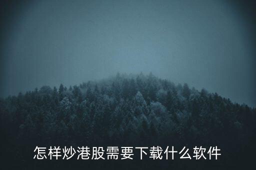 港股資金進出用什么軟件，現(xiàn)在內(nèi)地的炒股滬港通用什么軟件