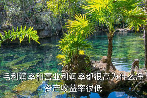 資產(chǎn)凈利率較低是為什么，為什么利潤率高資產(chǎn)收益率卻低