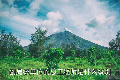核安全總工程師是什么級(jí)別，總工程師是什么級(jí)別