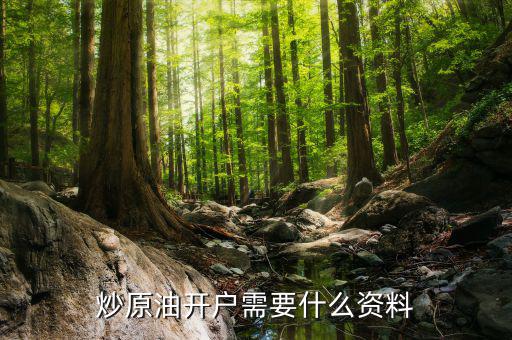 炒原油開(kāi)戶需要什么資料