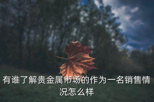 貴金屬公司為什么泛濫，有誰(shuí)了解貴金屬市場(chǎng)的作為一名銷(xiāo)售情況怎么樣