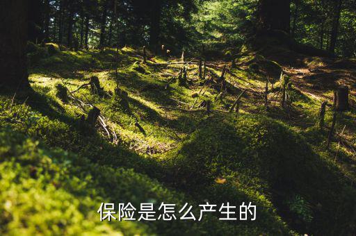 保險的原理是什么，保險是怎么產(chǎn)生的