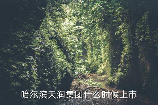 天潤乳業(yè)什么時候上市，哈爾濱天潤集團什么時候上市