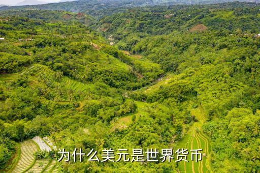 美元為什么是世界貨幣，為什么美元是世界貨幣