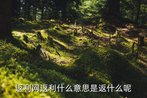 返傭網(wǎng)是什么意思，返傭網(wǎng)大概是什么意思