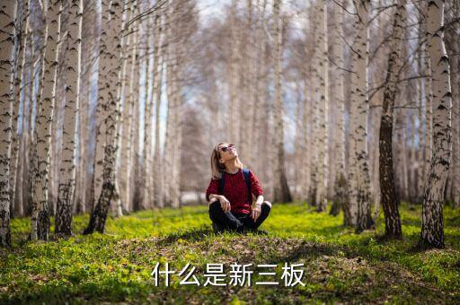 股票發(fā)行新三版是什么版塊，什么是新三板