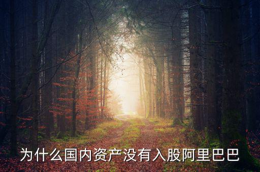 當(dāng)初為什么沒投阿里巴巴，為什么國內(nèi)資產(chǎn)沒有入股阿里巴巴