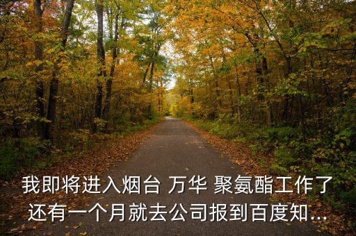 我即將進(jìn)入煙臺 萬華 聚氨酯工作了還有一個(gè)月就去公司報(bào)到百度知...