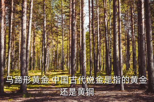 中國(guó)古代的黃金是什么，古代中國(guó)都使用了哪些金屬