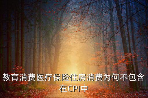 房價(jià)為什么不納入cpi，為什么在中國房價(jià)不算入CPI消費(fèi)水平也就是物價(jià)里面