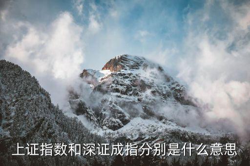 深成指b是什么，深證成指 中的成份A指和成份B指的區(qū)別求高手回答