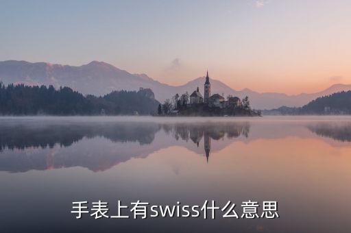 歐行手表什么意思，手表上有swiss什么意思