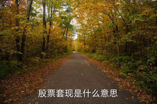 股票套現(xiàn)什么意思，股票當(dāng)中的套現(xiàn)是什么意思