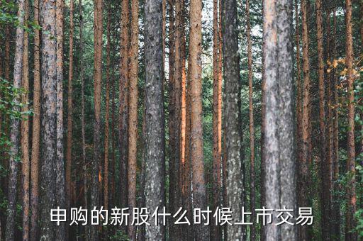 一般新股價(jià)什么時(shí)候出來，申購的新股什么時(shí)候上市交易
