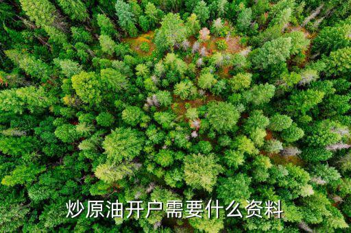 炒原油開戶需要什么，原油開戶需要哪些資料