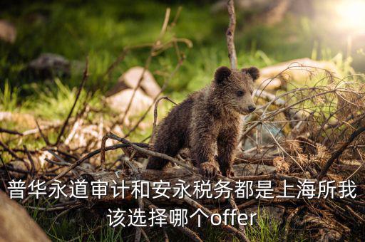 為什么選擇安永稅務(wù)，普華永道審計(jì)和安永稅務(wù)都是上海所我該選擇哪個(gè)offer