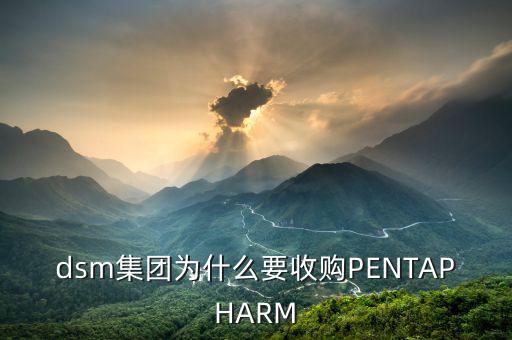 喜游國(guó)際被什么公司并購(gòu)，DSM據(jù)說(shuō)收購(gòu)了一個(gè)特牛的公司是什么大家有知道的嗎