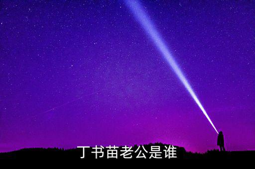 丁書(shū)苗老公是誰(shuí)